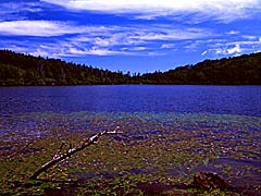 夏の湖