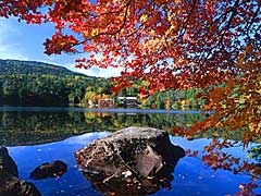 青空と紅葉のドウダンツツジ