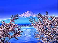 日本の春