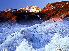 霧氷の東天狗岳
