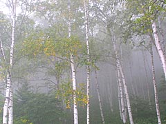 秋を感じて